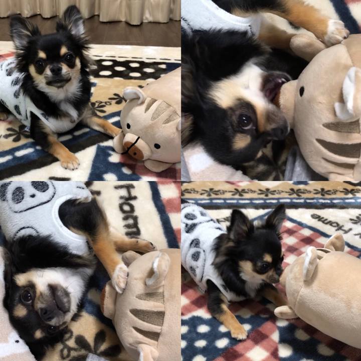 Bb86a787 895a 47e0 a700 45b1a3990152 1546348221331