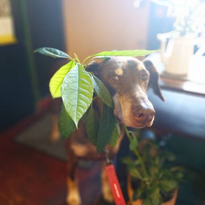 Bb86bbfb d33a 421f a604 48e52ffd0623 1764126861644