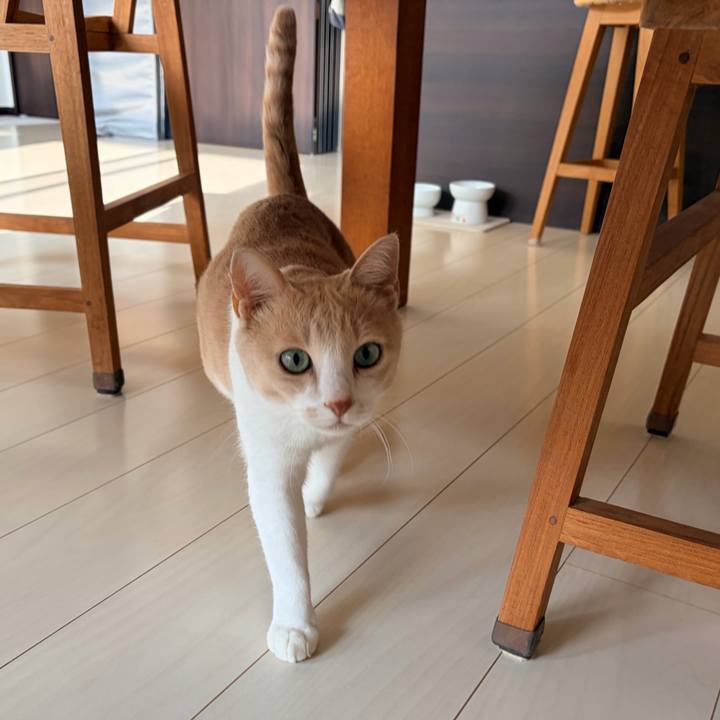 Bb86d90e 6ad1 4bae ba38 a790e2517835 1766360421567