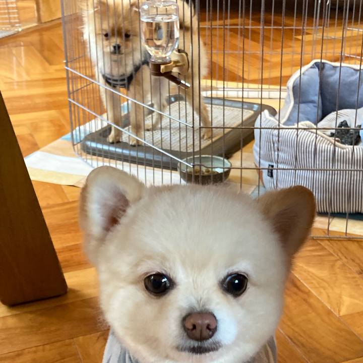 Bb86ea03 05f6 4ca2 a1dc 8996043df2b7 1641445102940