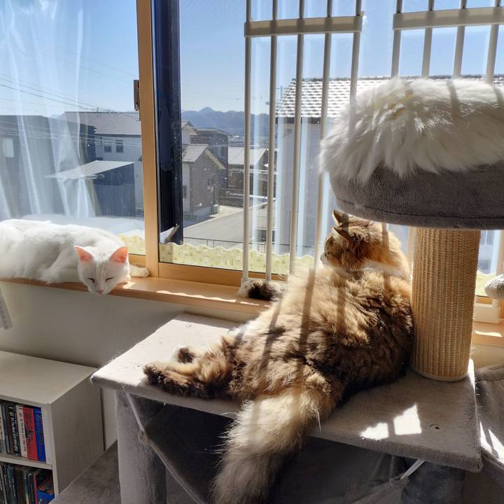 Bb86f66e e641 49e5 96de 641035c3b8b4 1770623103887