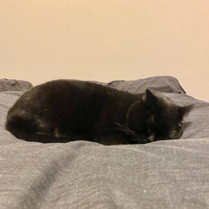 Bb871d62 c37c 4329 a4a1 c5f31477bb63 1675172909110