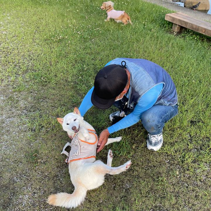 Bb87216c 771a 49ae b5f6 1b616dc5600d 1657110149566