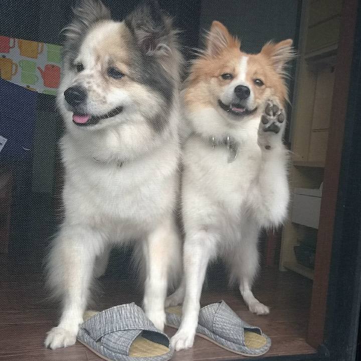 Bb872b03 f0eb 4fa8 b223 9a8a4dbebb97 1563881513544