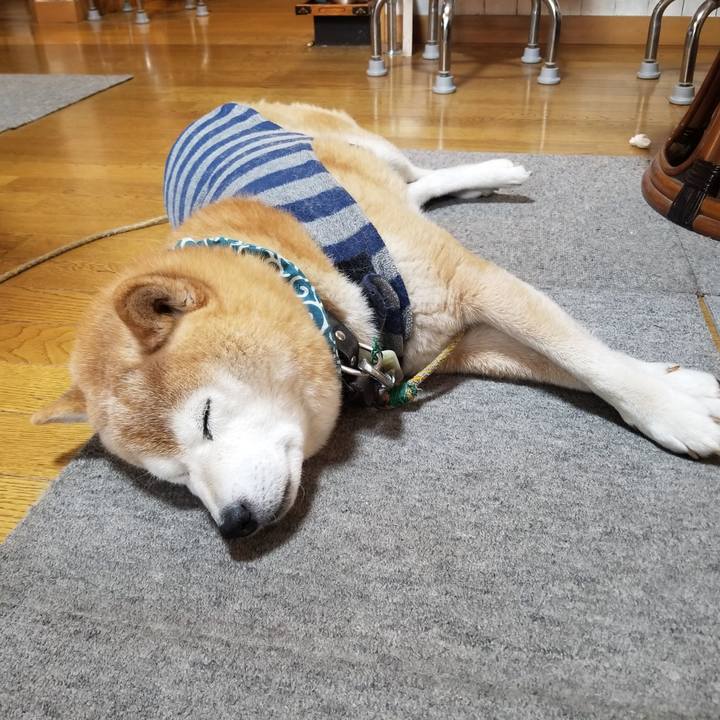 Bb8732d2 d2c5 410f b8be 08e353a2a10d 1702944831191