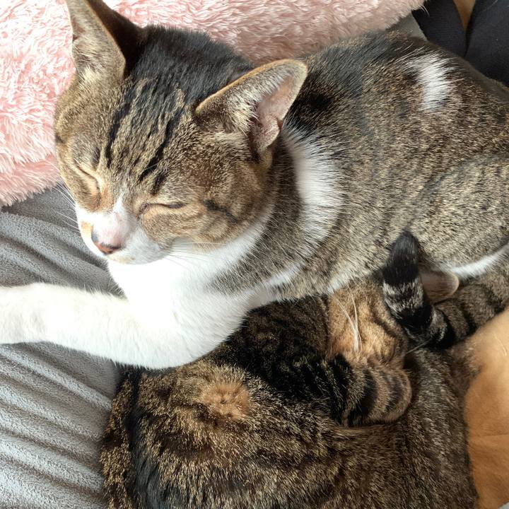 Bb874771 7efa 496b 843b 414776aa64e1 1583198806741