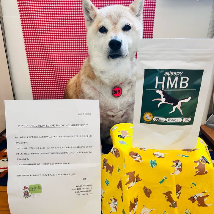 Bb874b1e 3059 464b adb7 ebb4557437aa 1749091721120