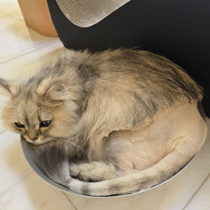 Bb8756b9 9f3d 4ee5 b8b1 4ac0e6b21976 1750308408114