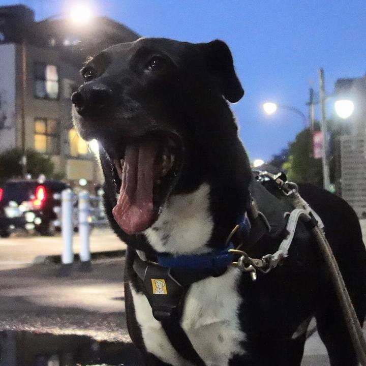 Bb876b99 9366 4463 8c60 ccce026525f7 1662547068534