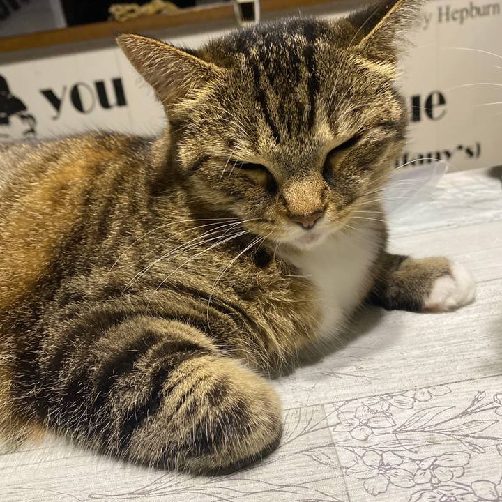 Bb8776c8 f801 46ab b5cb 328cb38efa8d 1629984838961