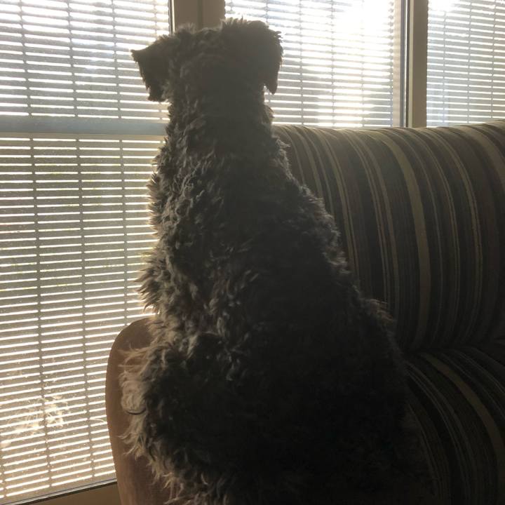 Bb878833 ab53 4e36 bf55 e90a395d215d 1562731427628