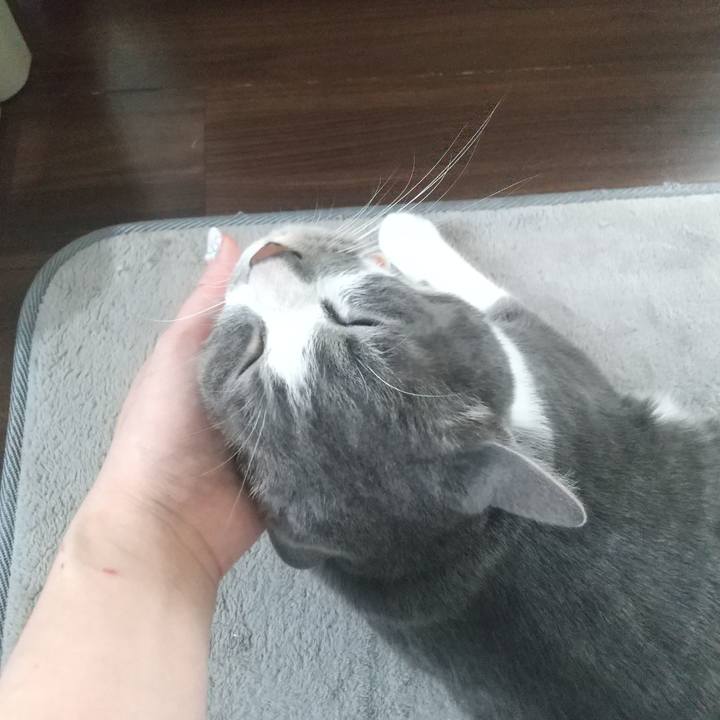 Bb879e16 4bb5 4b76 8c54 93b3bbe88f0f 1652585562636