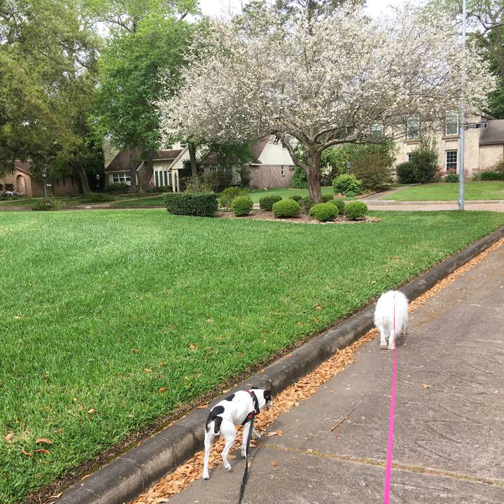 Bb87cb35 50fb 4418 a5c9 d7e16ea278f4 1584655954271