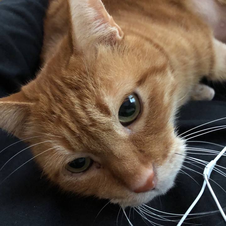 Bb87e0a5 3c88 4e76 a270 312f0d89fa1e 1702695873777