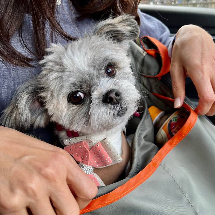 Bb87e44d 301a 4430 a89c 1fbc1a4945da 1648634686280