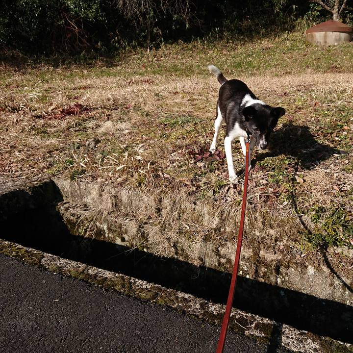 Bb880854 35a8 4c91 9b1f acbaa505f348 1518499161052