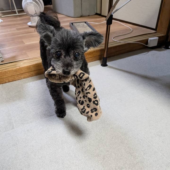 Bb882cee e7b8 414a 848b e705e54c0267 1749827325214