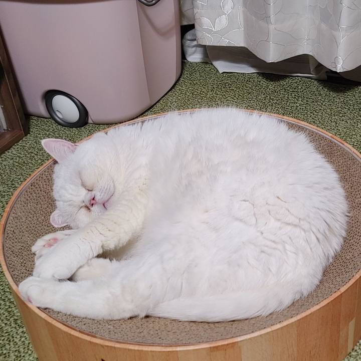 Bb88704e 6626 4e53 8add 568dbdc67ba4 1665312761296