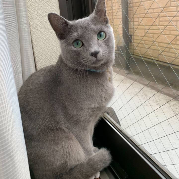 Bb88a82e f580 4fd0 951e fabafb254578 1608901911748