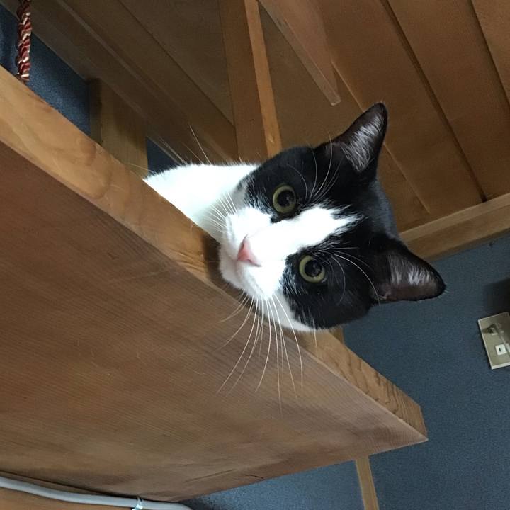 Bb88bbec 4e46 4215 a6cf f2805eb7e7d1 1724747022238