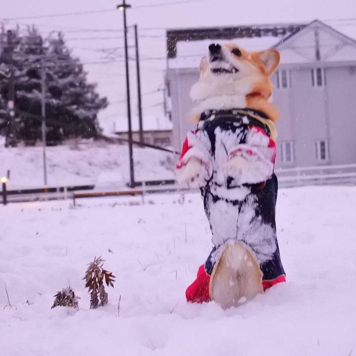 Bb88ed14 1163 4e82 87ab b3a91161e19b 1609504797100