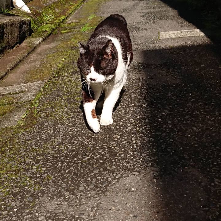 Bb890fc6 3f6b 43d5 8e9a 391323fbace6 1651532798732