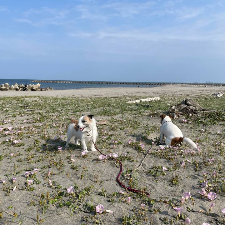 Bb8917c7 77b3 4a93 9911 4dfbc4ded093 1716507223177