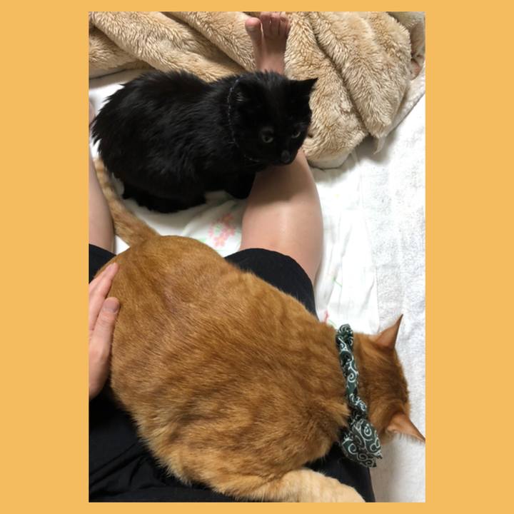 Bb892651 fc10 4413 a5c0 674ce65b8498 1579038697194