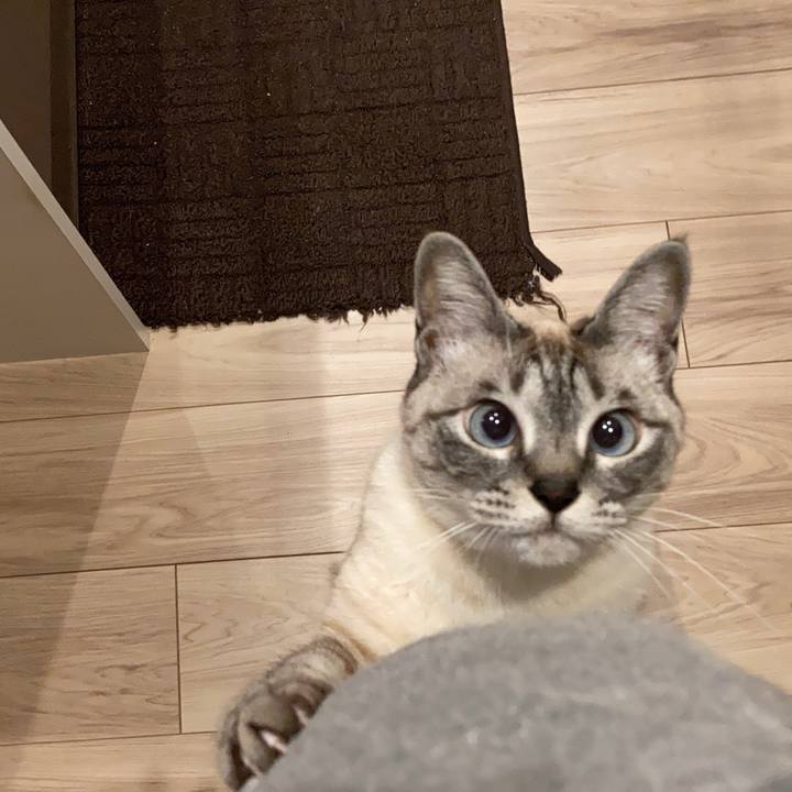 Bb894172 7c4a 474b b2fe e2ae6be53b61 1618615726513