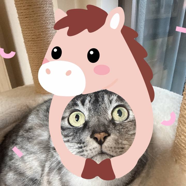 Bb897033 2a4d 47aa 9681 0375f6a494ce 1767344728810