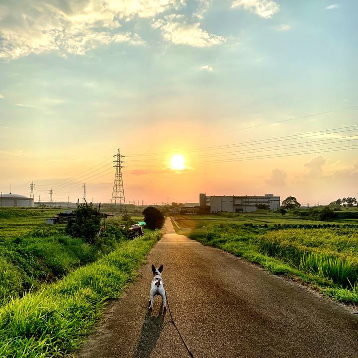 Bb897995 46c7 4f71 90ba 85ad86a19d05 1565953373195