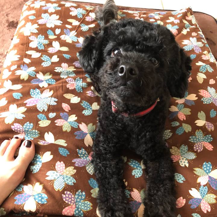 Bb898777 dfbd 4ac7 bc6f 4ff900bca99d 1561041667583