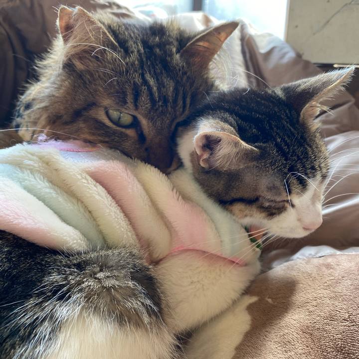 Bb89938a effd 43d5 8b30 a847ba16dcd4 1707195455907