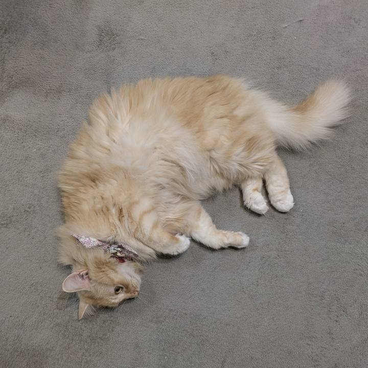 Bb89b9a4 7758 413f a71b a83434b242ba 1759802283169