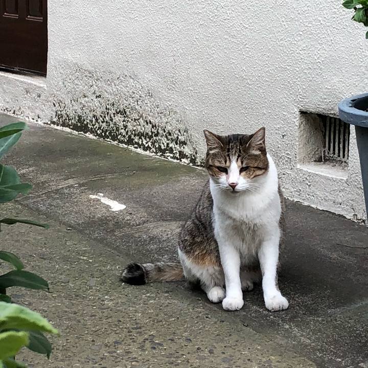 Bb89d6aa 0917 45be 867b 0a65aede8701 1534673325088