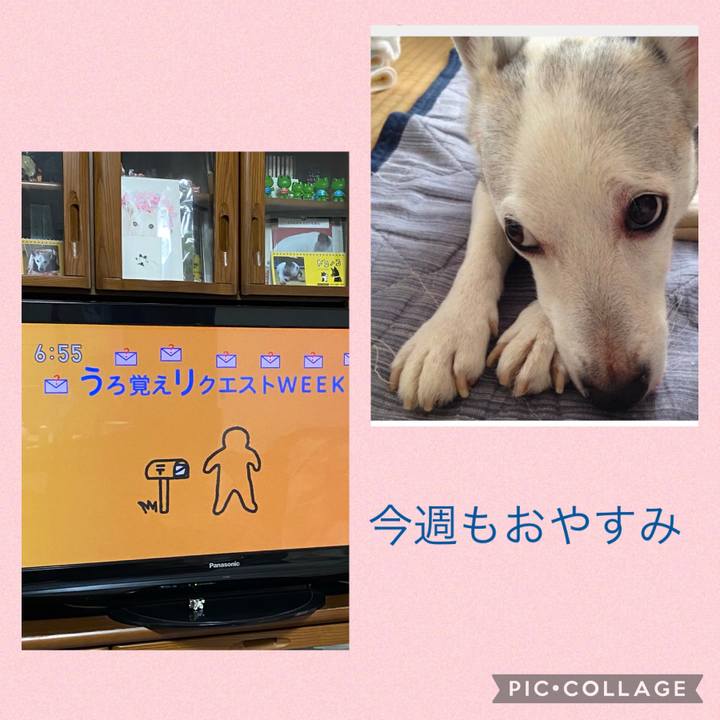 Bb8a0051 e25c 4334 9da1 ff4ea1c9e1a6 1661464822614