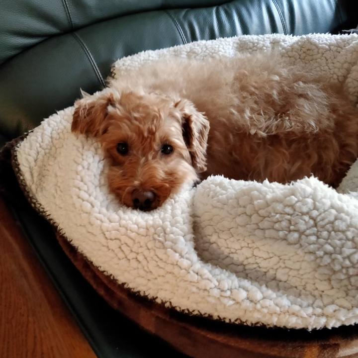 Bb8a1e1d 6806 43df 8093 efde8c5da013 1607900942229