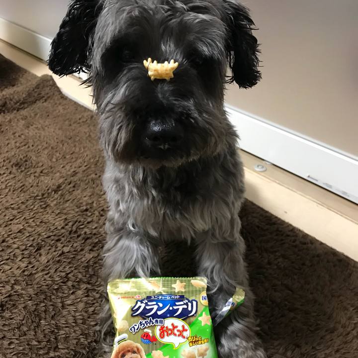 Bb8a281e f5c6 410b af3b cf2873e1c2d9 1517049282554