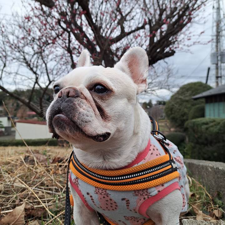 Bb8a2af8 8955 44f3 a49b 464b86339036 1705913638817