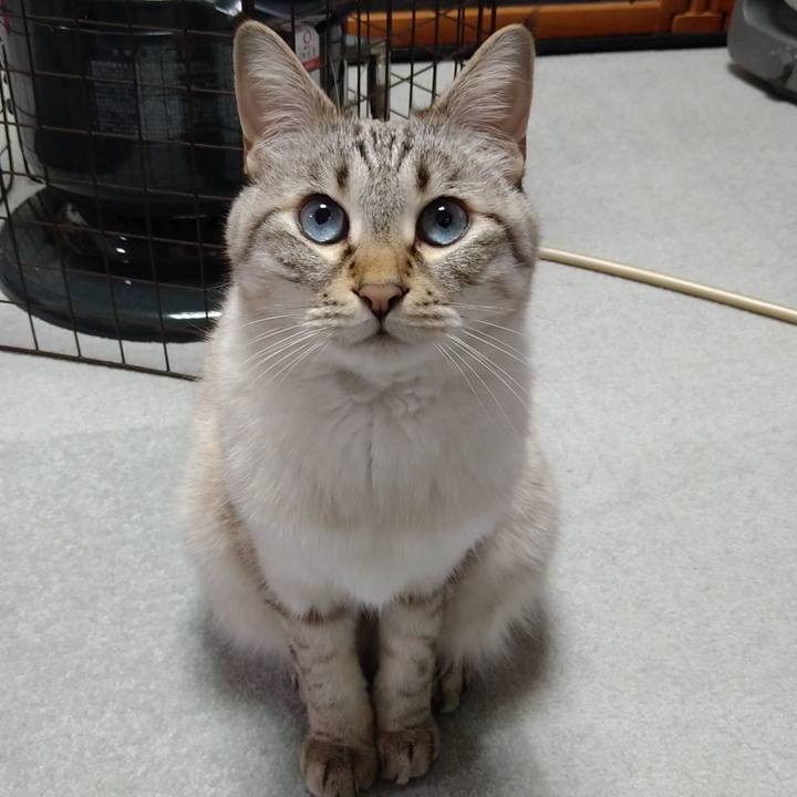 Bb8a333e 57b5 416e 9dd1 995aefa4eed6 1612007678689