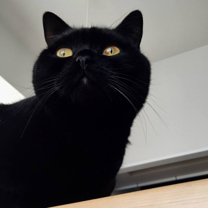 Bb8a5160 4a2e 4ccc 921d 5b3408c86ca4 1577061098566