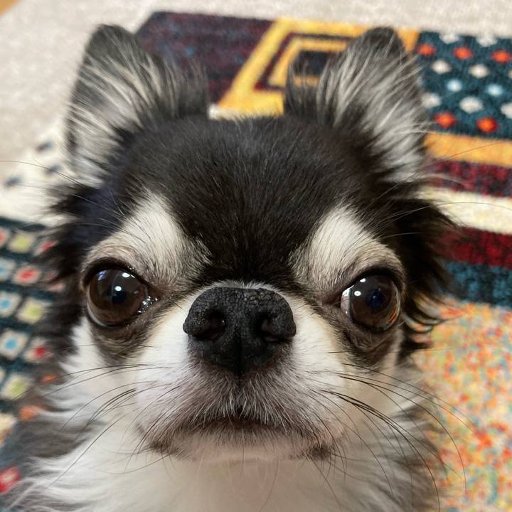 Bb8a5540 bf69 4b47 990b 5e67d1bbc988 1696115727994