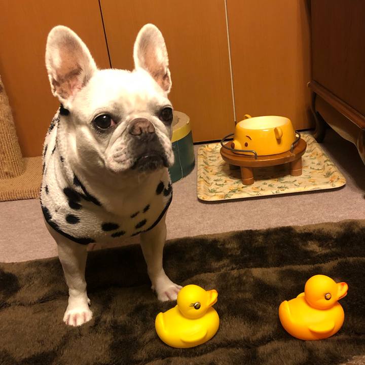 Bb8a60d0 3592 44ea 9ea2 4ba393b06188 1611387529176