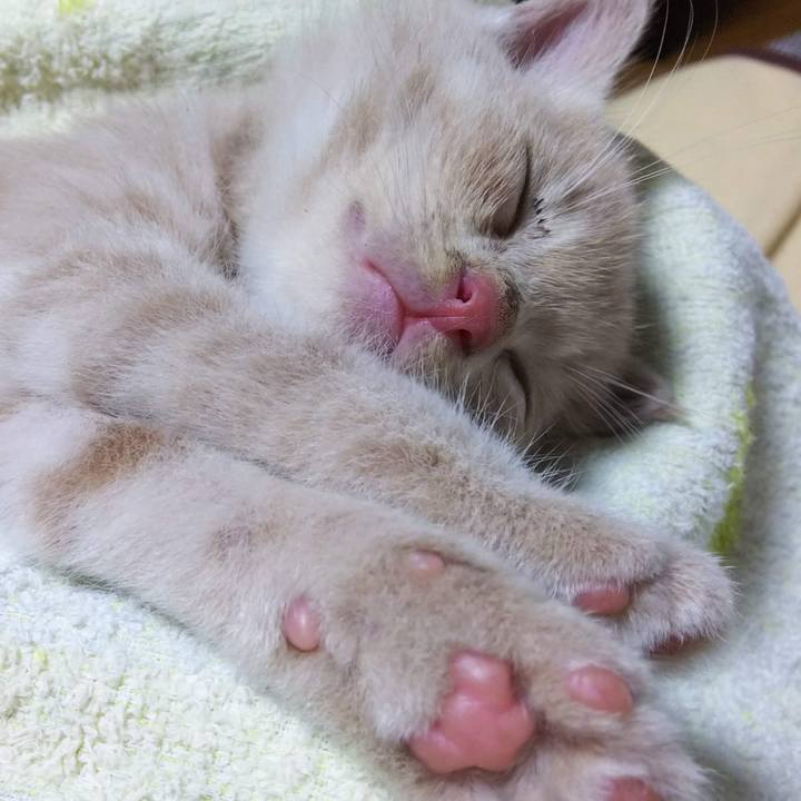 Bb8a9011 4c9d 4a3b b3c6 52f477f91cce 1614937895982