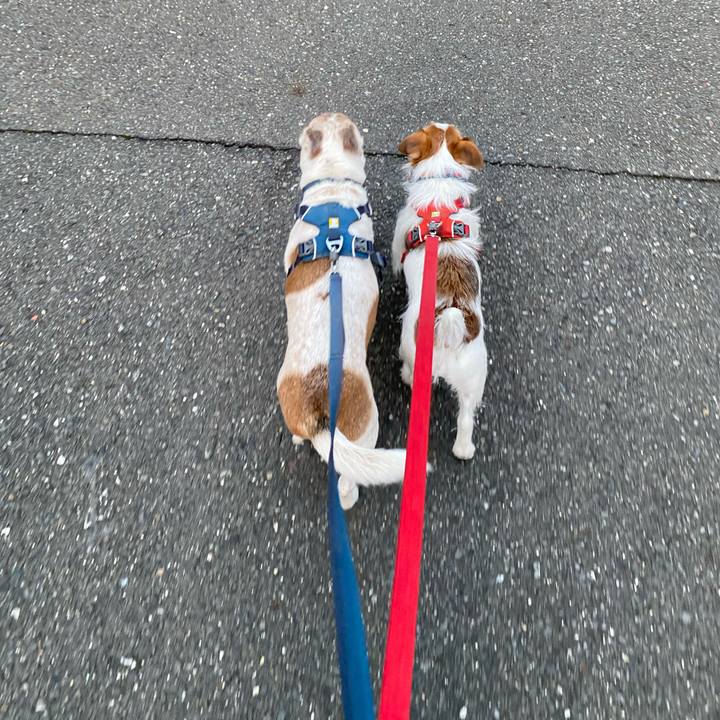 Bb8a92b8 774d 4702 a9cd 8ffb4412613c 1670451773601