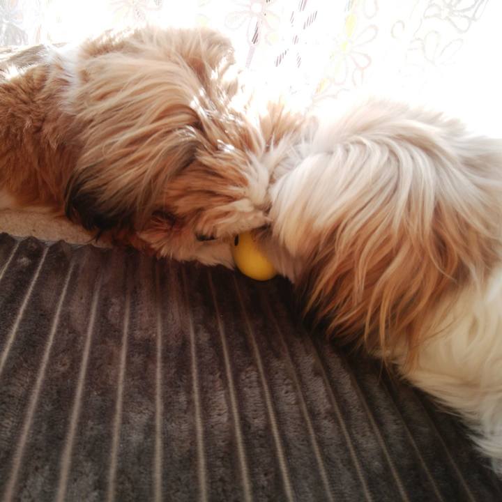 Bb8aa124 f0b8 47b9 b801 87671b1e2317 1543726914454