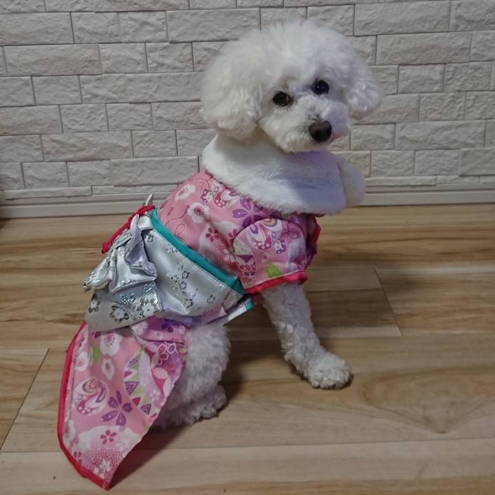 Bb8ae9b0 985e 4852 8cb1 18d05956839f 1577878124625