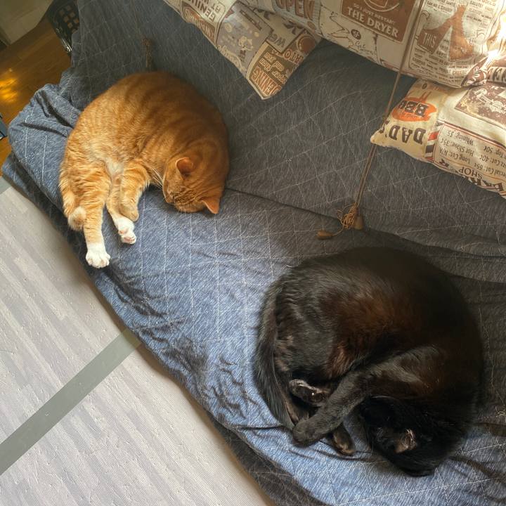 Bb8afebc d9c1 4e75 819a d4f1ab922f5e 1649823584006