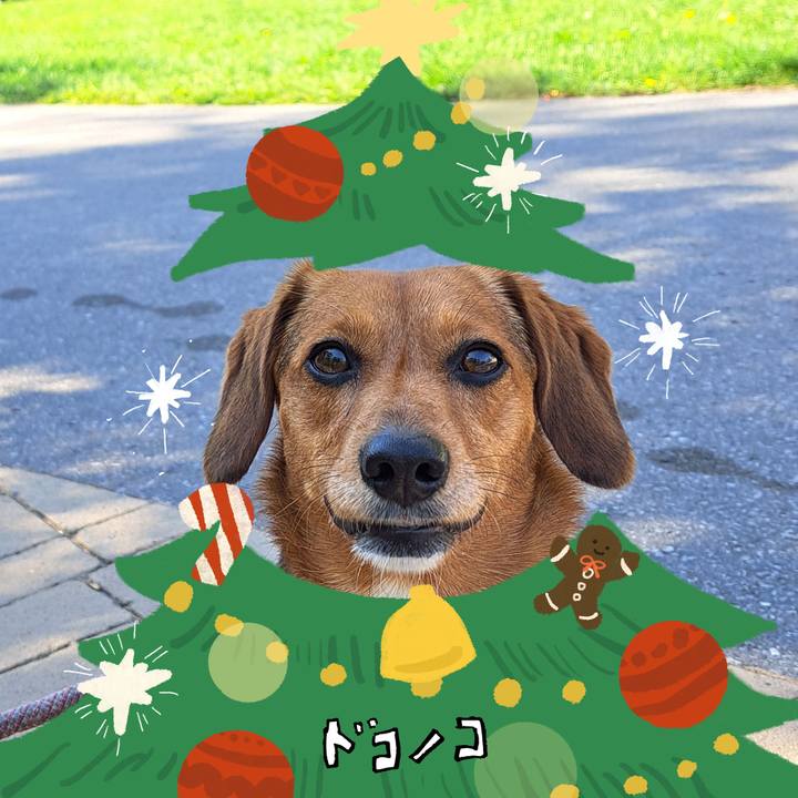 Bb8b34e5 a505 45a7 a2cd 9d480aea80b8 1762298371968