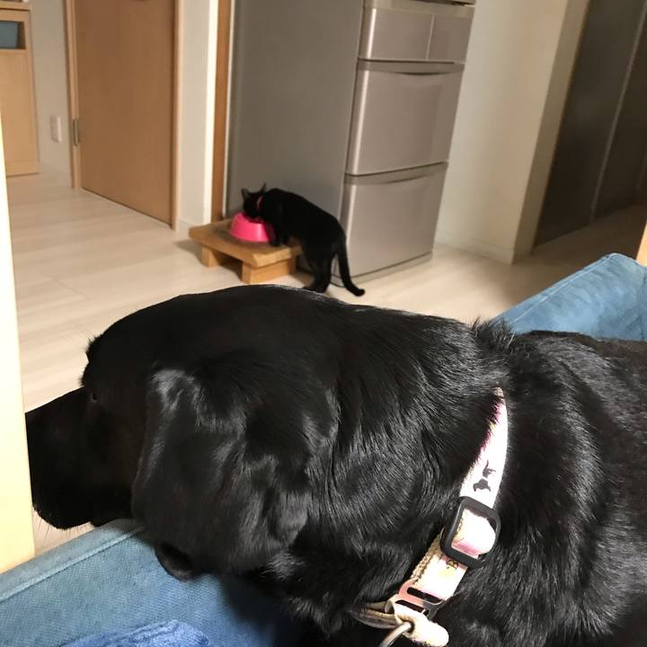 Bb8b7b7a 3143 40e6 a7b2 a02eeaf0857c 1584963454157